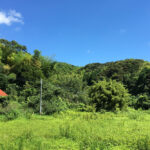 山林の相続税評価はどう決まる？評価方法と計算の考え方を解説